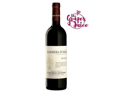 Conterno fantino vignota - conterno, 2024